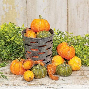 16 Pkg Colorguard Pumpkins & Gourds - The Fox Decor